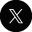 x icon